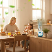 Indoor Air Purification Box – Plant-Based Passive Dust Collector
