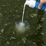Pool Water Purifier Liquid – Crystal Clear Results in Hours