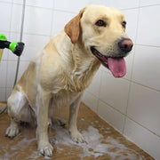 Pup Jet Sprayer